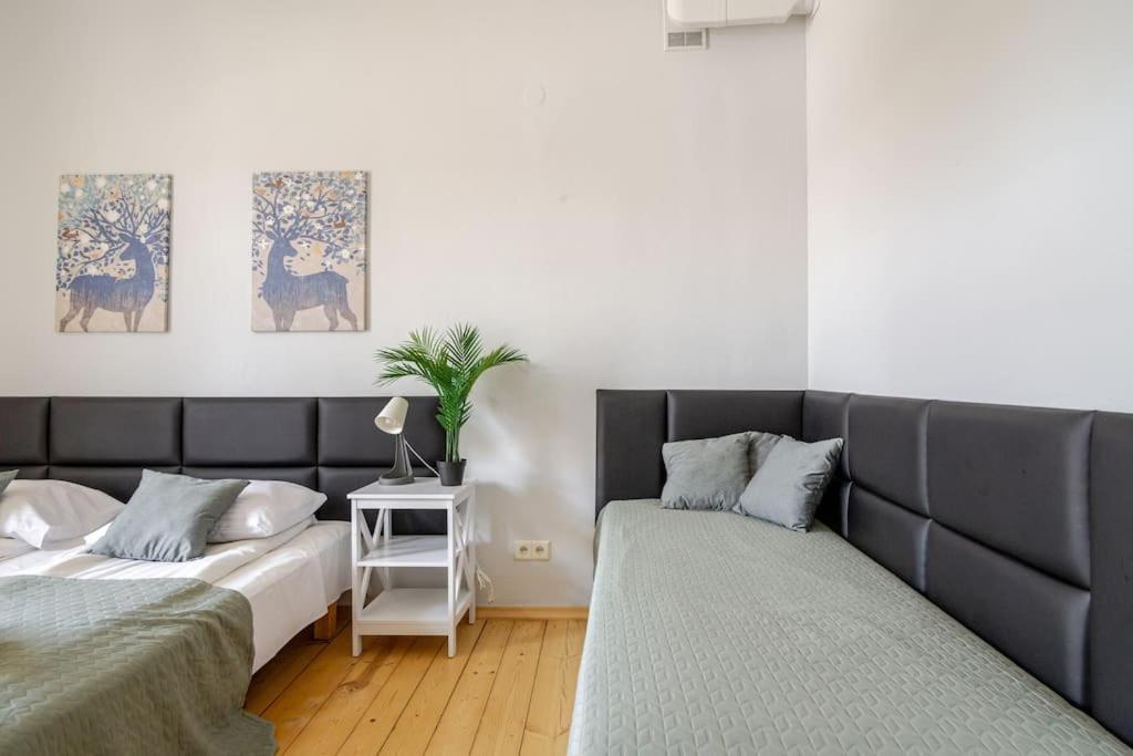 Florianska Gate Luxury Apartments 克拉科夫 外观 照片